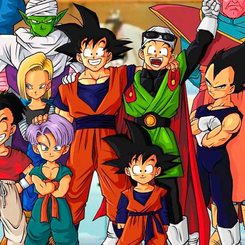 Dragon Ball z – Zoldyck clothes