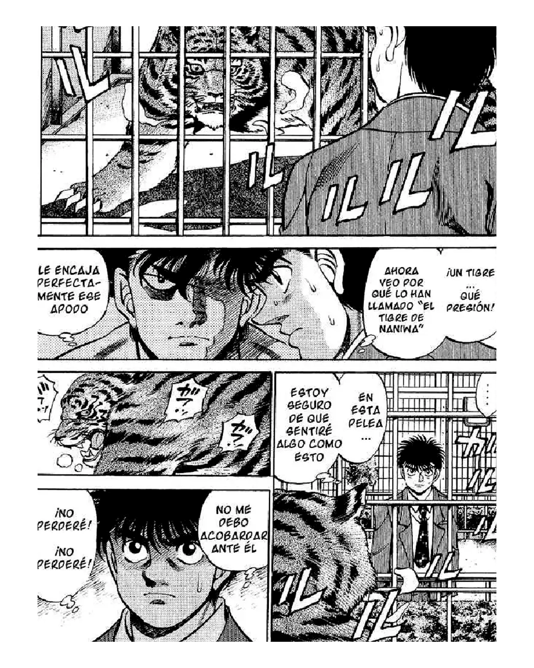 👕 "Oso panda del zoo" de Ippo (Hajime no ippo)