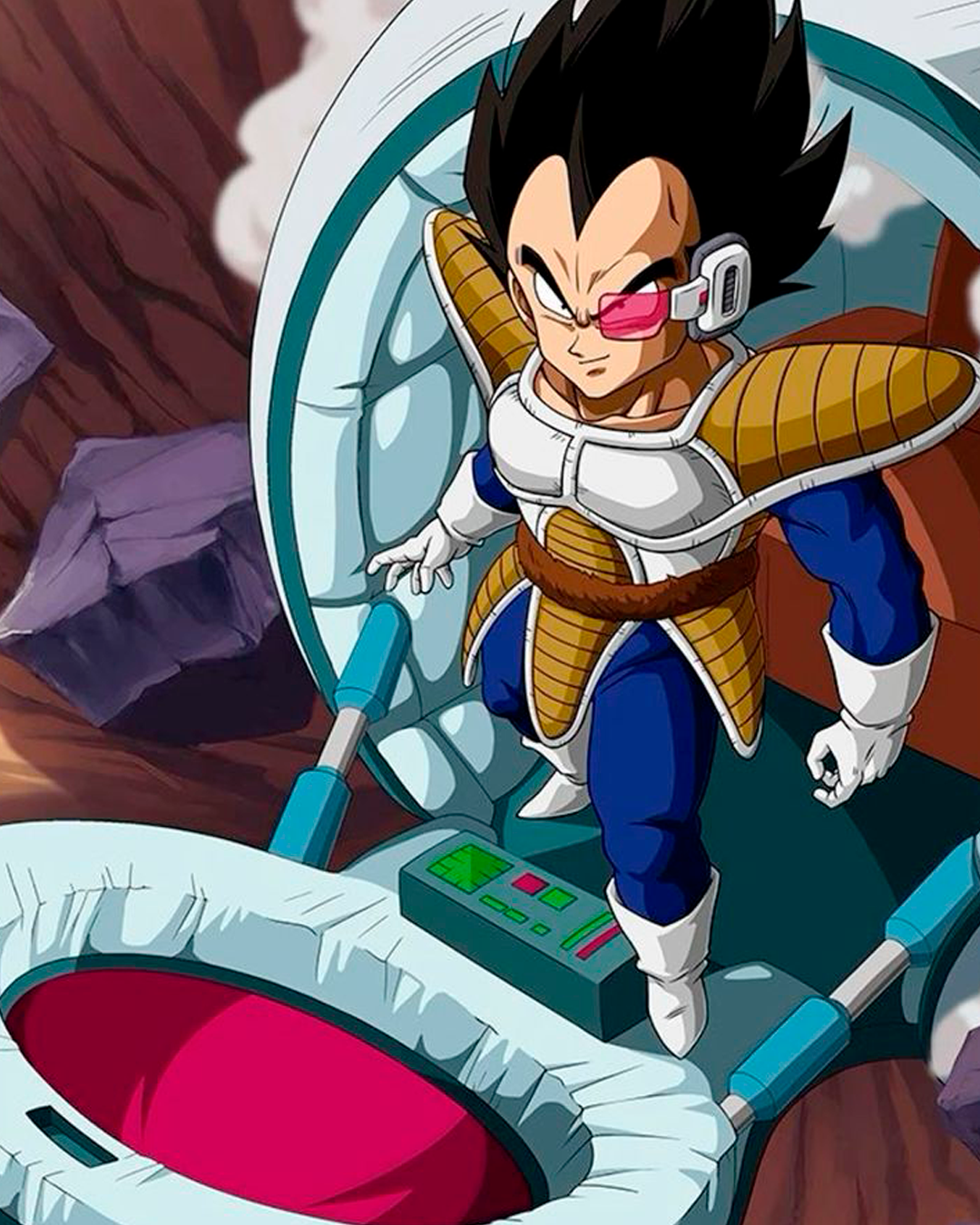👕🧥 Vegeta "capsula" de Dragon Ball z