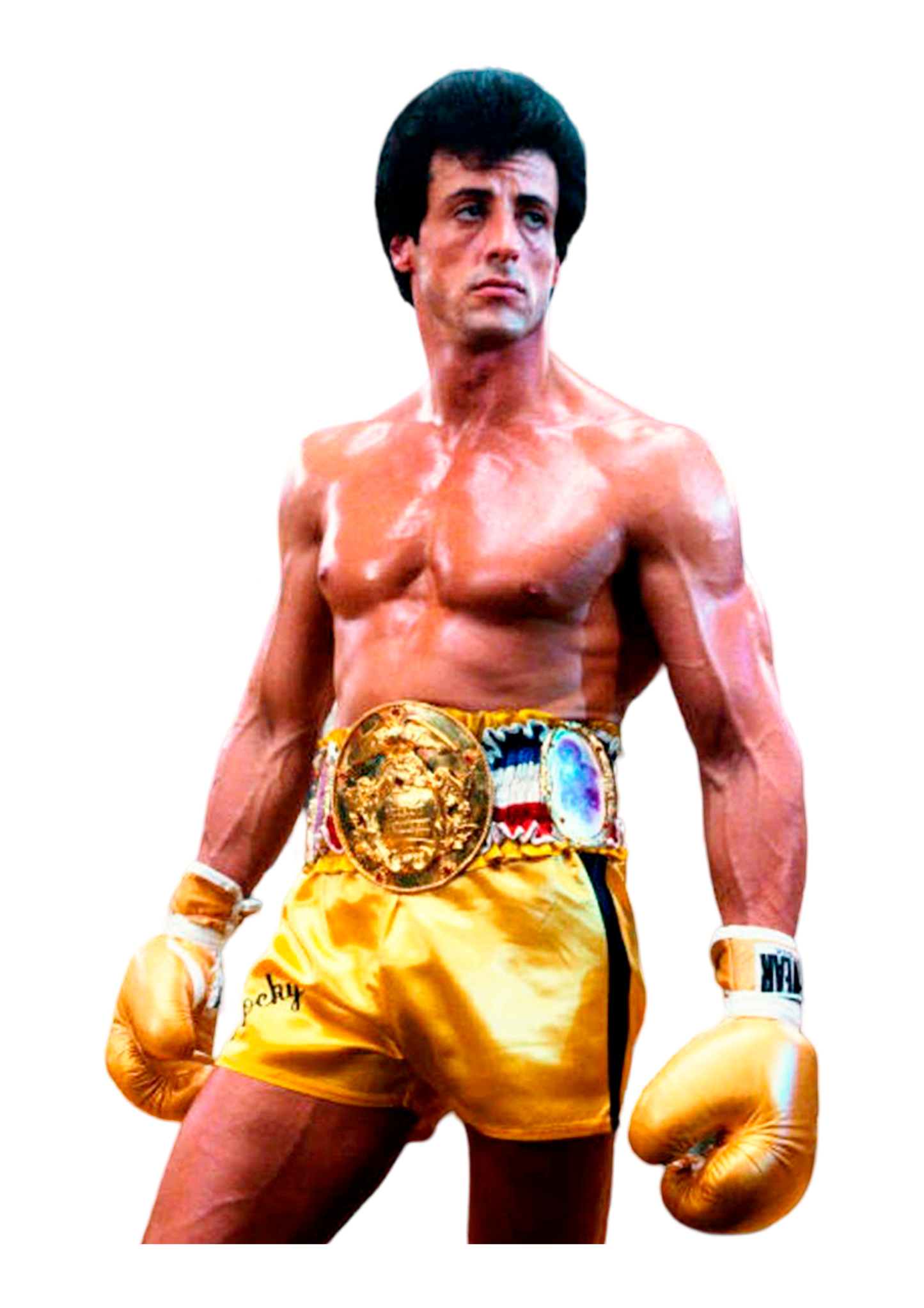 🩳🥊 Short (satin) de boxeo "Rocky Balboa"