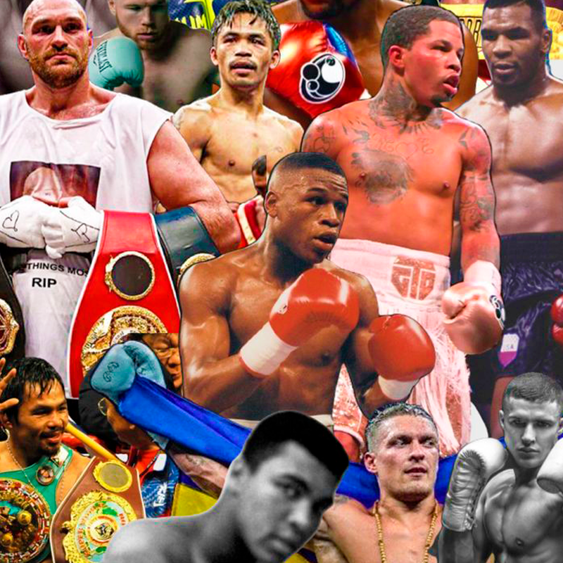 Boxeadores