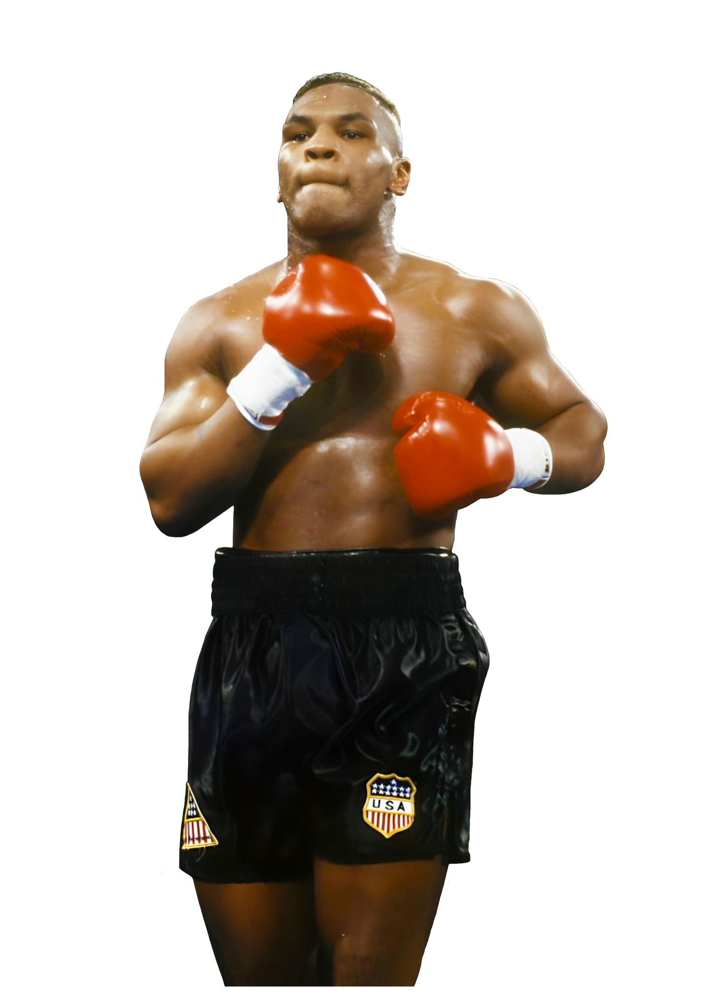 🩳🥊 Short de boxeo Mike Tyson