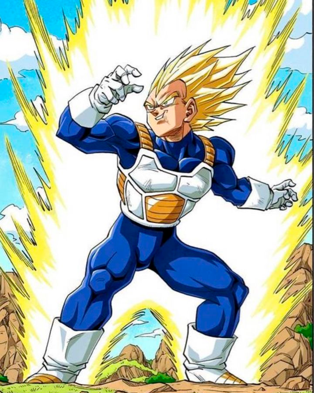 👕🧥 Vegeta "Resplandor final"