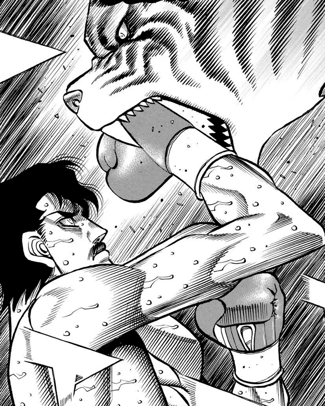 👕🧥 "Takeshi tigre" (Hajime no ippo)